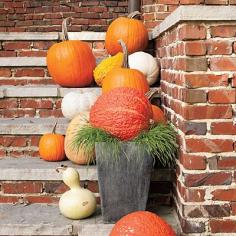 Halloween Pumpkin Decorating Ideas - Southern Living