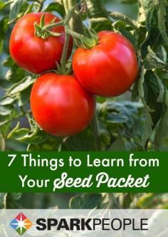 Want to start a garden this year? Here's how to decode the seed packet! | via @SparkPeople #food #vegetable #gardening #spring