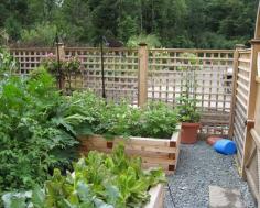 garden design with wooden fence and raised bed containers