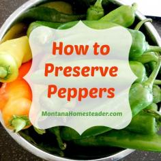 
                        
                            How to preserve peppers. This quick and easy method to preserve peppers will save you time and money throughout the year! | Montana Homesteader
                        
                    