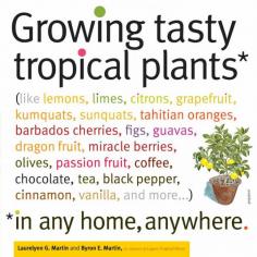 Growing Tasty Tropical Cinnamon - Gardening Tips - Mother Earth Living