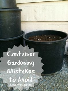 
                        
                            Here are 5 container gardening mistakes to avoid.
                        
                    