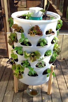 Garden Tower Project » The Homestead Survival vertical planter with a worm tower in the center really works. You add kitchen scraps into the center tower which creates a compost tea that drips out the bottom which you add back into the ...  Read more pinnoea.pw/...
