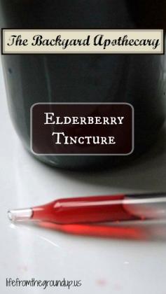 The Backyard Medicine Cabinet: Elderberry - lifefromtheground...