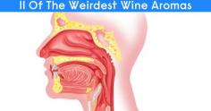 11 OF THE WEIRDEST WINE AROMAS #wine #winery #wineeducation #winetasting