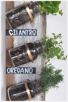 Great DIY for Mason Jar Herb Gardening!! Perfect for small spaces or apartments. DIY gardening. Modify by hanging the jars straight up and down and fill with different ropes (nautical) ,sand and shells (beach), forsythia or babies breath in all 3 (spring), evergreens and ribbon (winters), moss teranium, etc. pinnoea.pw/...