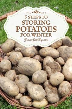 5 Steps to Storing Potatoes for Winter | Grow a Good Life