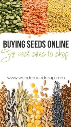 
                        
                            Great list of the best sites to shop for #organic #nongmo #seeds ! #garden #vegetable #grow
                        
                    