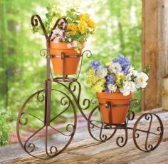 Display your pretty plants and flowers in this antique-style bicycle cart loaded with old-fashioned charm.     Perfect on your porch, patio or in the garden.     Holds two pots up to 3 3/4"Dia.     Crafted of durable iron.     Measures 17 1/2"L x 9"W x 16 1/4"H.