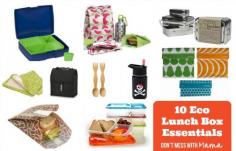 
                        
                            10 Eco Lunch Box Essentials - Back to School Kids - Don't Mess with Mama.com
                        
                    