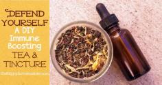 Defend Yourself - A DIY Immune Boosting Tea & Tincture - thehippyhomemaker...