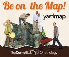 
                        
                            Planning Yard Projects for Next Year? Begin With a YardMap – Nature and Environment – MOTHER EARTH NEWS
                        
                    