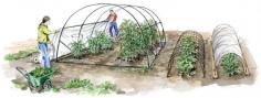Learn how to make an easy, affordable mini-greenhouse using row covers and low tunnels for season extension and natural pest control.