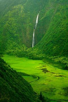 Waimanu Valley, Hawaii  ♥ ♥