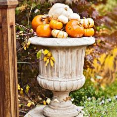 Add to the natural autumn beauty of your yard with harvest-inspired fall outdoor decorations. Featuring natural elements such as pumpkins, leaves, and more, our versatile fall outdoor decorating ideas will span the season fro