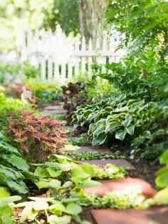 
                        
                            Enjoy a bold, beautiful color in the shady corners of your yard with our garden design tips!
                        
                    
