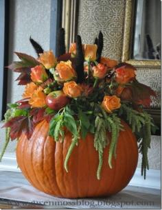 
                        
                            DIY - How to make a beautiful pumpkin centerpiece #fallcenterpiece #diy #pumpkincenterpiece livedan330.com/...
                        
                    