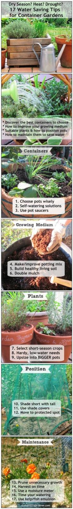 
                        
                            17 WATER SAVING TIPS for Container Gardens. Are you trying to grow a garden with LITTLE RAIN? Struggling with a DRY SEASON, HEAT, DROUGHT or WATER RESTRICTIONS? If so, it can be especially tough to grow food. You CAN grow healthy crops in pots - with the right strategies. These easy, practical tips may help YOU achieve an abundant harvest. | The Micro Gardener
                        
                    