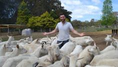 #goatvet likes this article about a new registered milking goat operation in the Shoalhaven, NSW, Australia