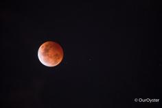 Last night was the blood moon - Dan caught this shot on St Kilda beach in Melbourne. Discovered by Jade Johnston OurOyster.com at St Kilda Beach, St Kilda, #Australia #bloodmoon