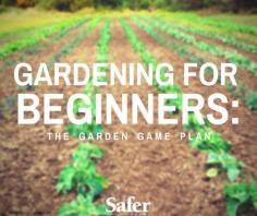 
                        
                            Gardening For Beginners: The Garden Game Plan
                        
                    