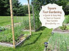 Square Foot Gardening: A Quick and Easy Way to Begin or Expand a Garden | growagoodlife.com