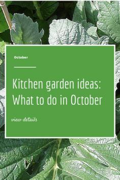 Kitchen garden ideas: What  to do in your garden in October