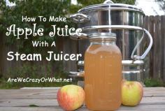 
                        
                            How To Make Apple Juice With A Steam Juicer
                        
                    