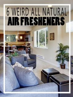6 Weird All Natural Air Fresheners - Homesteading and Health