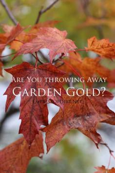 
                        
                            Are you throwing away garden gold? | empressofdirt.net
                        
                    