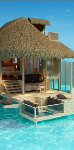 
                        
                            Maldives - #tropical #dreamvacation livedan330.com/...
                        
                    