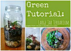Get your gardening fix - even when the weather is cold- by making a terrarium from an old jar following this tutorial
