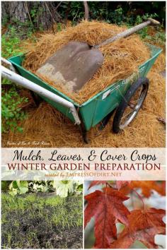 Winter Garden Prep: Mulch, Leaves, & Cover Crops | empressofdirt.net