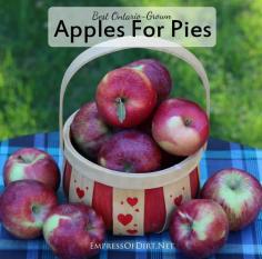 Best apples for baking pies | empressofdirt.net