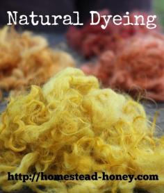 
                        
                            Natural Dyeing - Amazing color from plants on your homestead, or in your backyard! | Homestead Honey homestead-honey.com
                        
                    