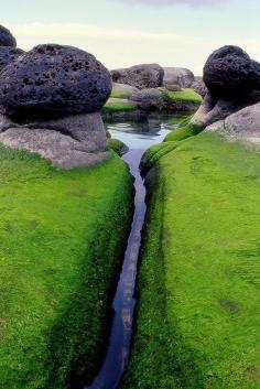 
                        
                            Mossy – Inlet, Iceland - 30 Extraordinary Pictures That Will Blow Your Mind
                        
                    