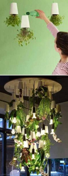 Fantastic Mini-Indoor-Gardening-ideas