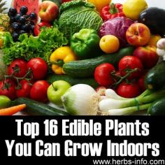 
                        
                            Share This Page: Please be sure to Join our email list and receive all our latest and best tutorials daily – free! Image – © Tomo Jesenicnik – Fotolia.com Micro gardening is all the rage and for many very good reasons! We discovered an amazing page listing 16 of the best edible plants that you [...]
                        
                    