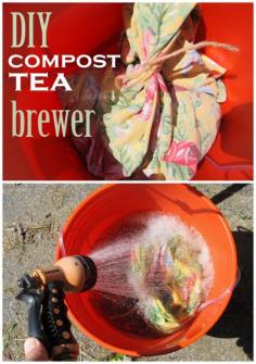 It's time to give the garden a good cup of tea! Compost is full of great microbes, bacteria, bugs and fungi that will make your plants thrive. Brew it into a tea with this easy DIY compost tea brewer and it's an easy natural fertilizer!