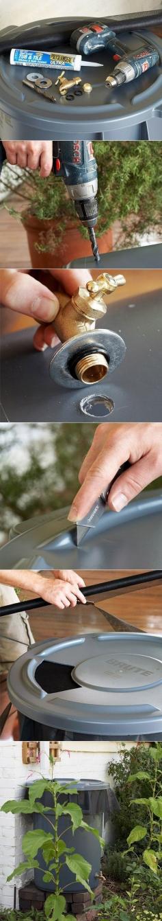 
                        
                            How to make a rain barrel
                        
                    