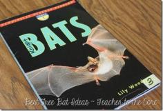 
                        
                            Bats On My Brain~ Freebie and ideas!
                        
                    