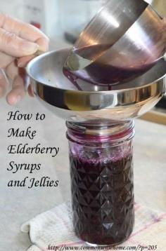 
                        
                            How to Make Immune Boosting Elderberry Syrups and Jellies with Fresh or Dried Elderberries
                        
                    