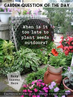 
                        
                            When is it too late to plant seeds outdoors? Here's the answer for any seeds you want to sow.
                        
                    
