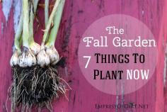 7 Things to plant now in the fall garden | empressofdirt.net