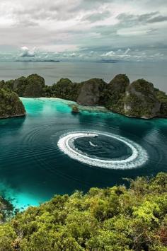 
                        
                            Raja Ampat Islands, Indonesia
                        
                    