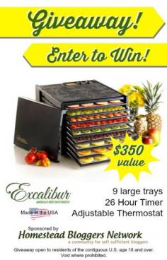 
                        
                            Excalibur 9 Tray Dehydrator Giveaway | Grow a Good Life | Giveaway runs from October 15th – 22nd.
                        
                    