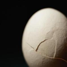 Feed clean eggshells to your plants