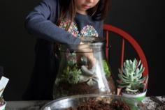 Make a gorgeous terrarium in less than an hour with a glass container, pebbles, soil and plants. A perfect project for design lovers, kids, and budget conscious