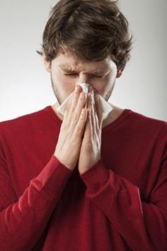 Strengthen your immunity this cold and flu season with quercetin! www.wellnessresou... #antioxidants