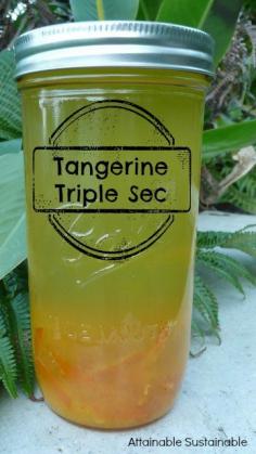 It's citrus season! How's this for a kicky way to preserve some of the abundance? Tangerine Triple Sec.